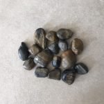 ظلط بني ٢-٣سم