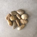 ظلط اصفر ٣-٥سم