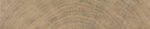 ⁦SL INUK HONEY 23X120⁩ - الصورة ⁦2⁩