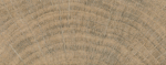 SL INUK HONEY 23X120
