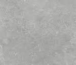 Materica Grey 40x120